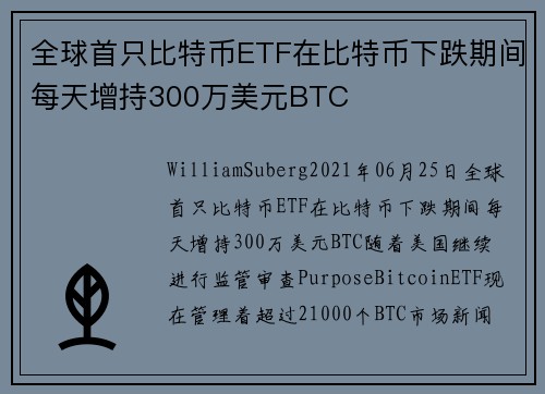 全球首只比特币ETF在比特币下跌期间每天增持300万美元BTC 